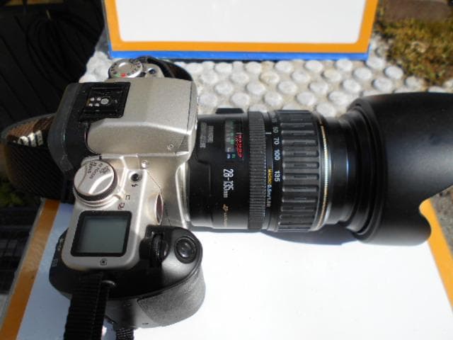 フィルムカメラ