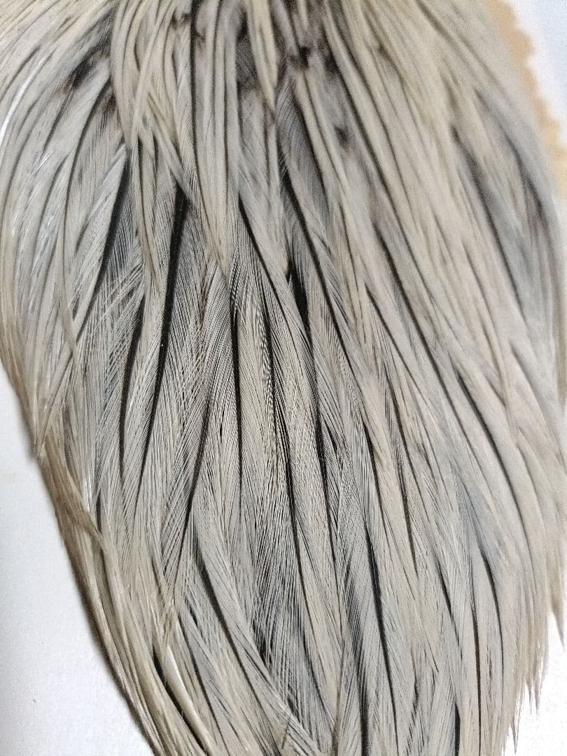 Hoffman ハックル 入手困難　シルバーバジャー　#3