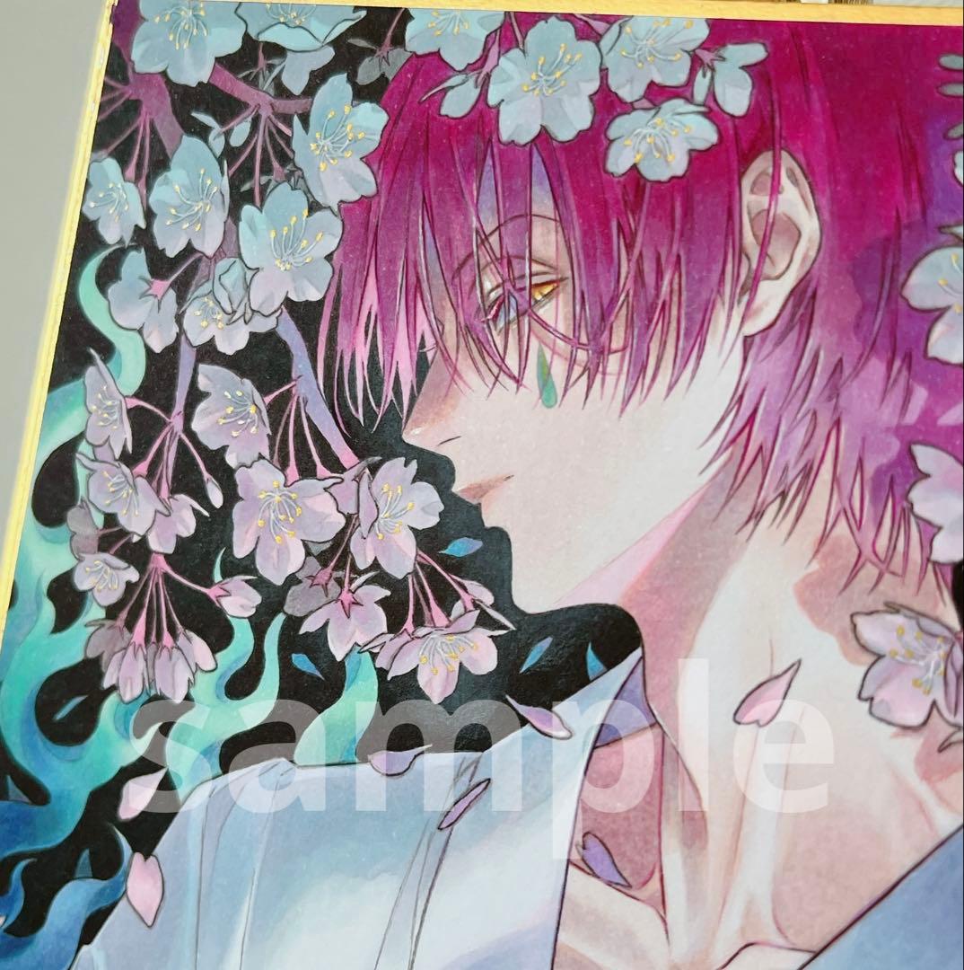 ✴︎ひなの⋈✴︎　手描き　イラスト　色紙