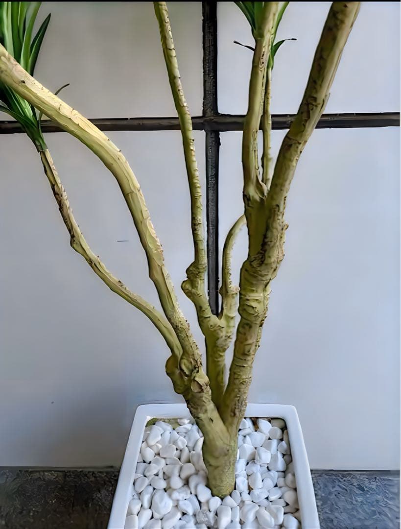 光触媒　人工観葉植物　ウォールグリーン　フェイクグリーン　コンシンネ150a1