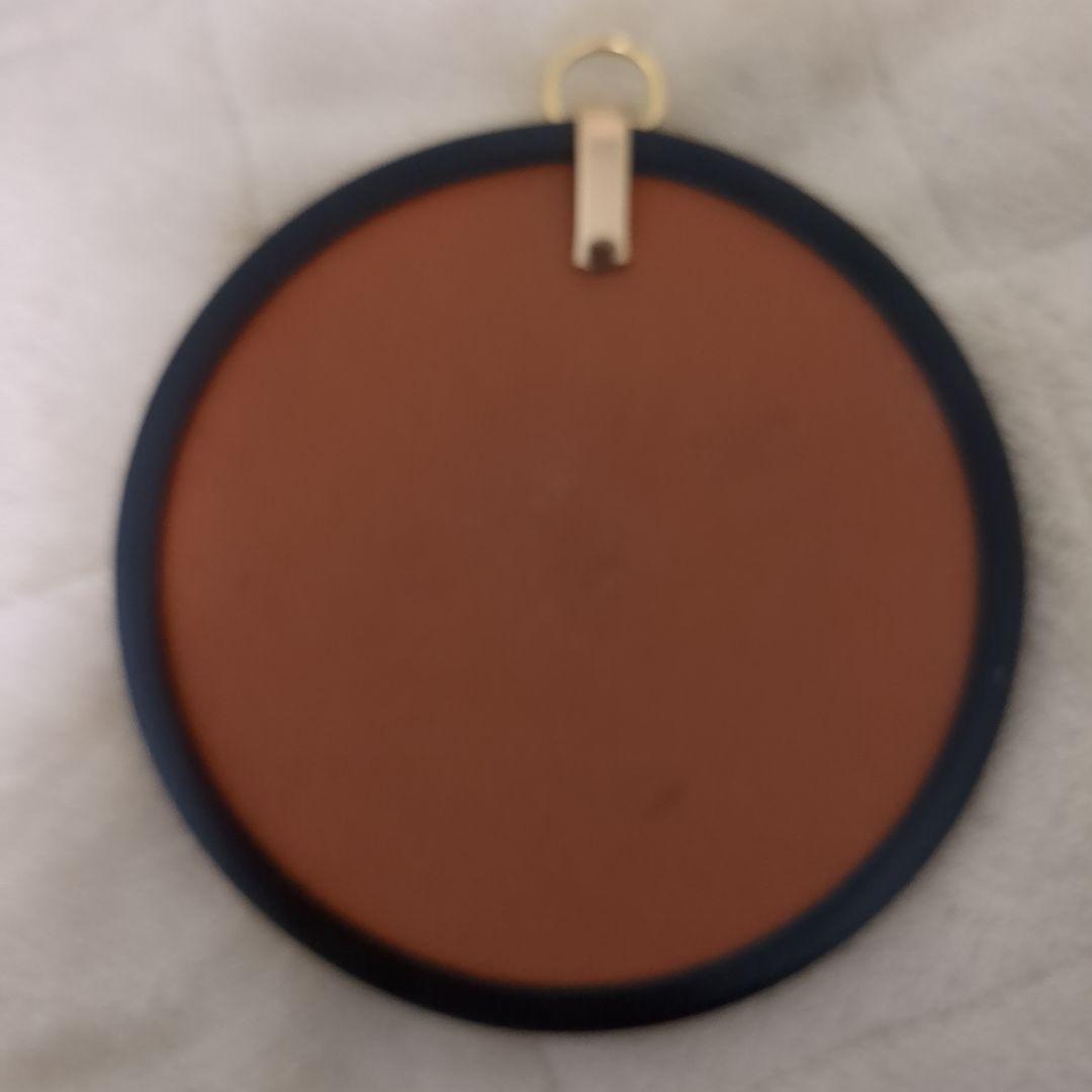 ブラジル産モルフォ蝶の標本