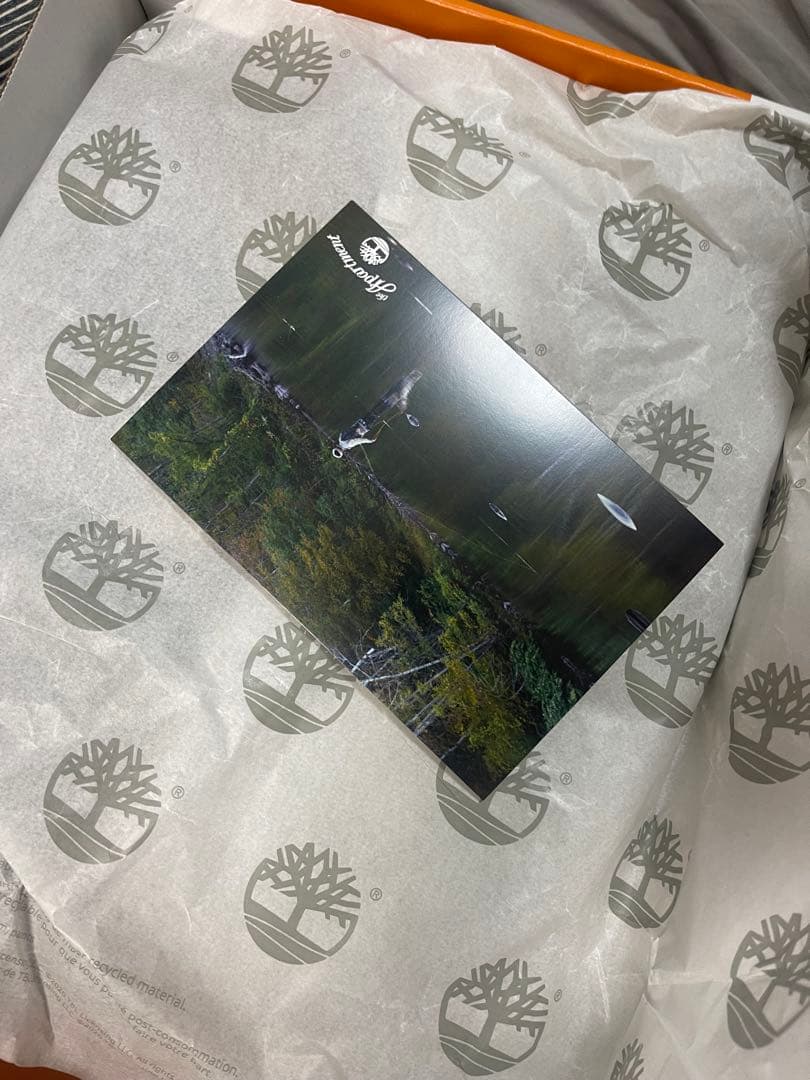 靴 the Apartment HERITAGE MOC TOE MID 29