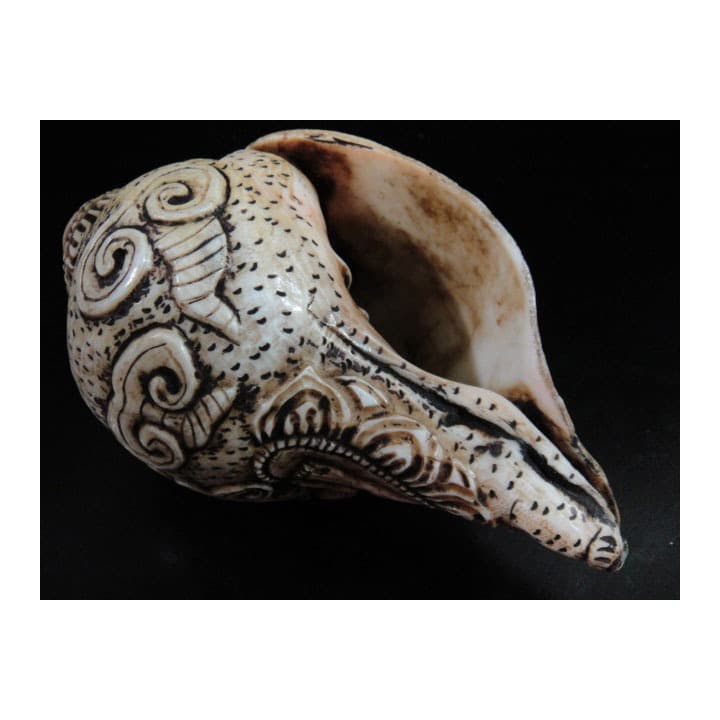 ◆チベット密教法具　法螺貝（シャンカ）マハーカーラ（大黒天）