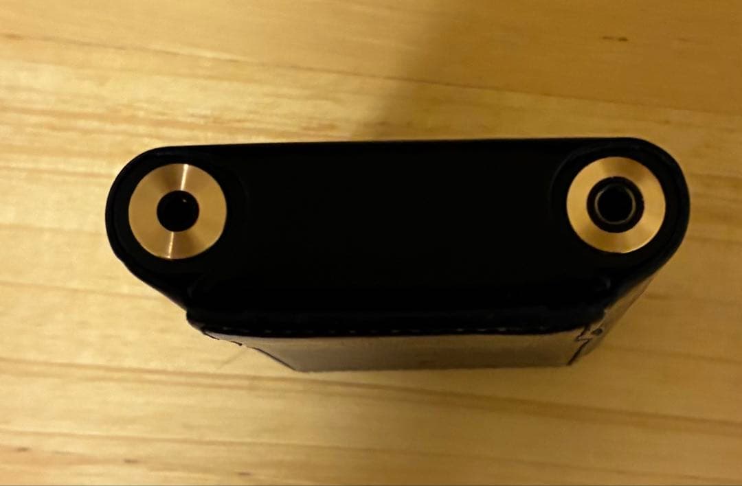 T*3様 SONY NW-WM1AM2 + Dignis レザーケース　セット