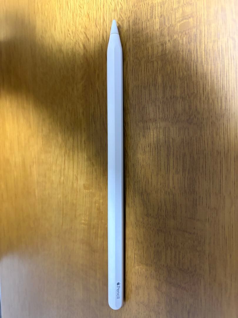iPad Pro 12.9インチ 本体 128gb Apple pencil付属