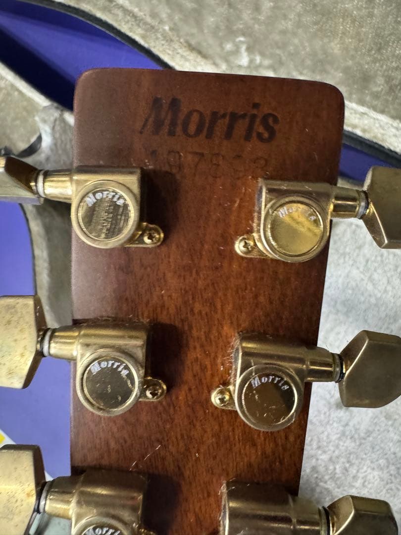 MORRIS TF-801 アコースティックギター