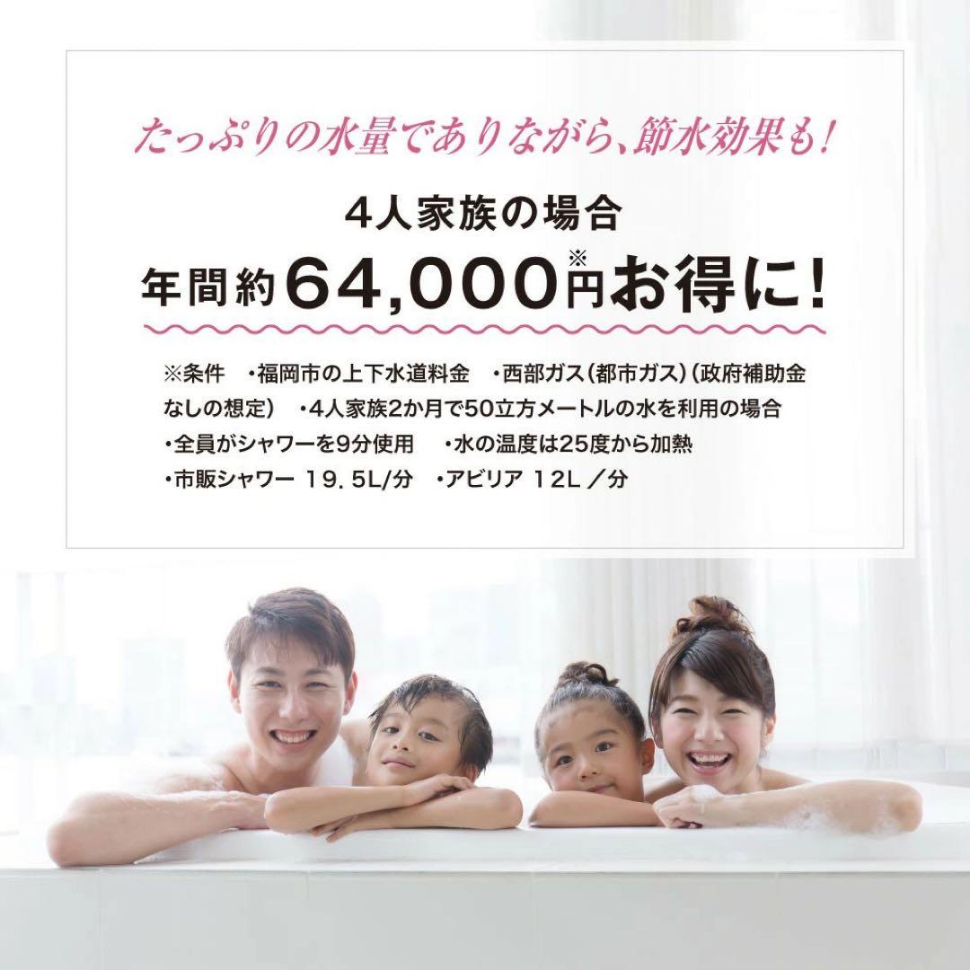 マルヤマ プレミアムバブルシャワー 丸山製作所　シャワーヘッド