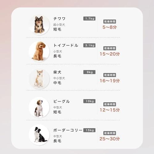 【2025年グッドデザイン賞受賞】mino ペットドライヤー 小型・コンパクトp