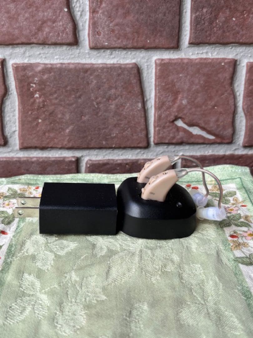 Shop Japanショップジャパン楽ちんヒアリング本体2個セット＋集音器充電式