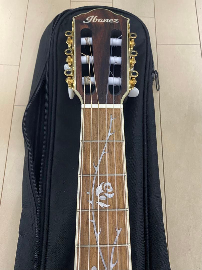 ギター Ibanez TOD10N Tim Henson Polyphia