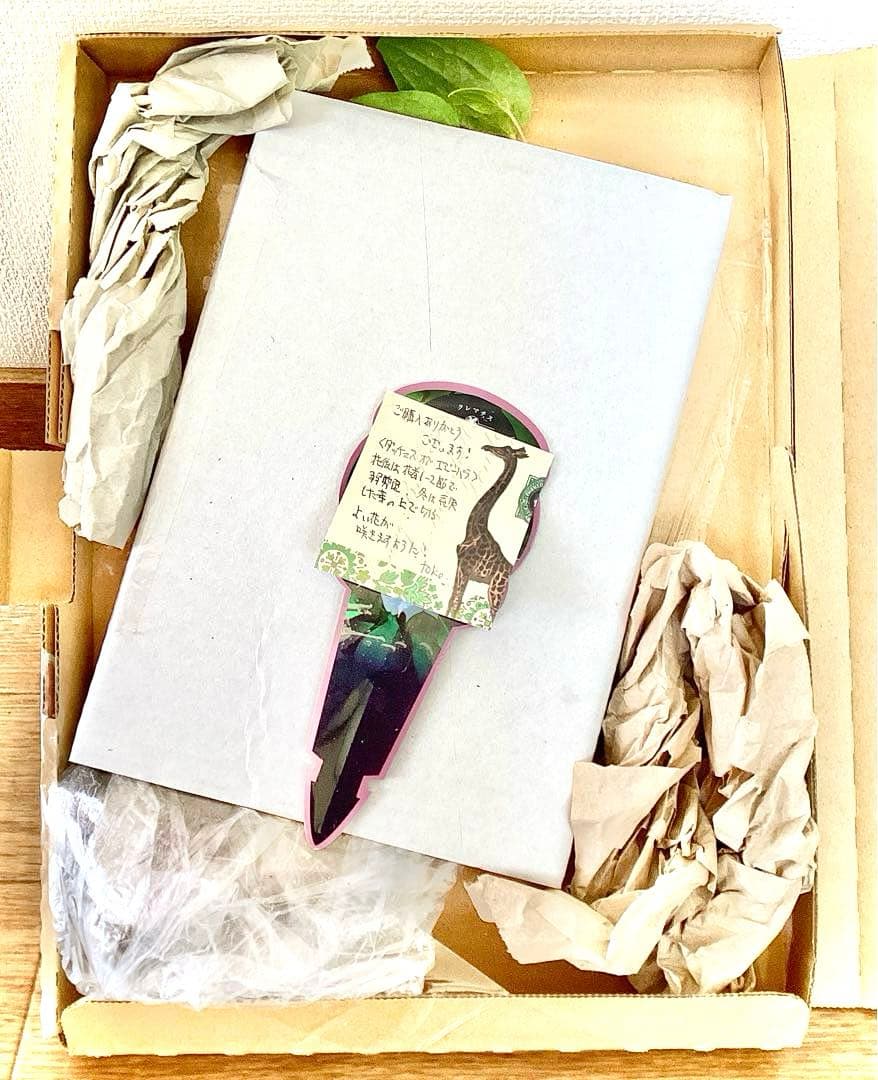 【mihoko様ご確認用】