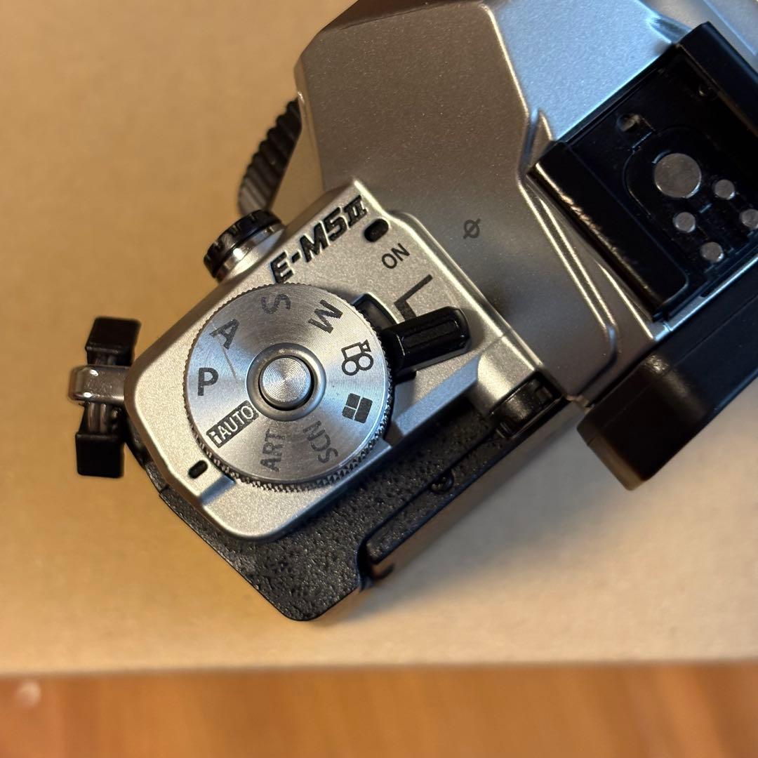 かきー【美品】OLYMPUS OM-D E-M5 MarkII シルバー