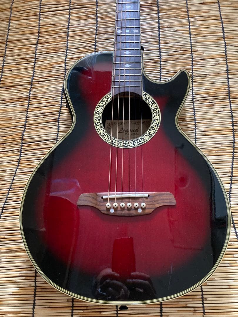 猫*様 ☆新年値下　アクティブコントローラを追加　エレアコ　Legend by