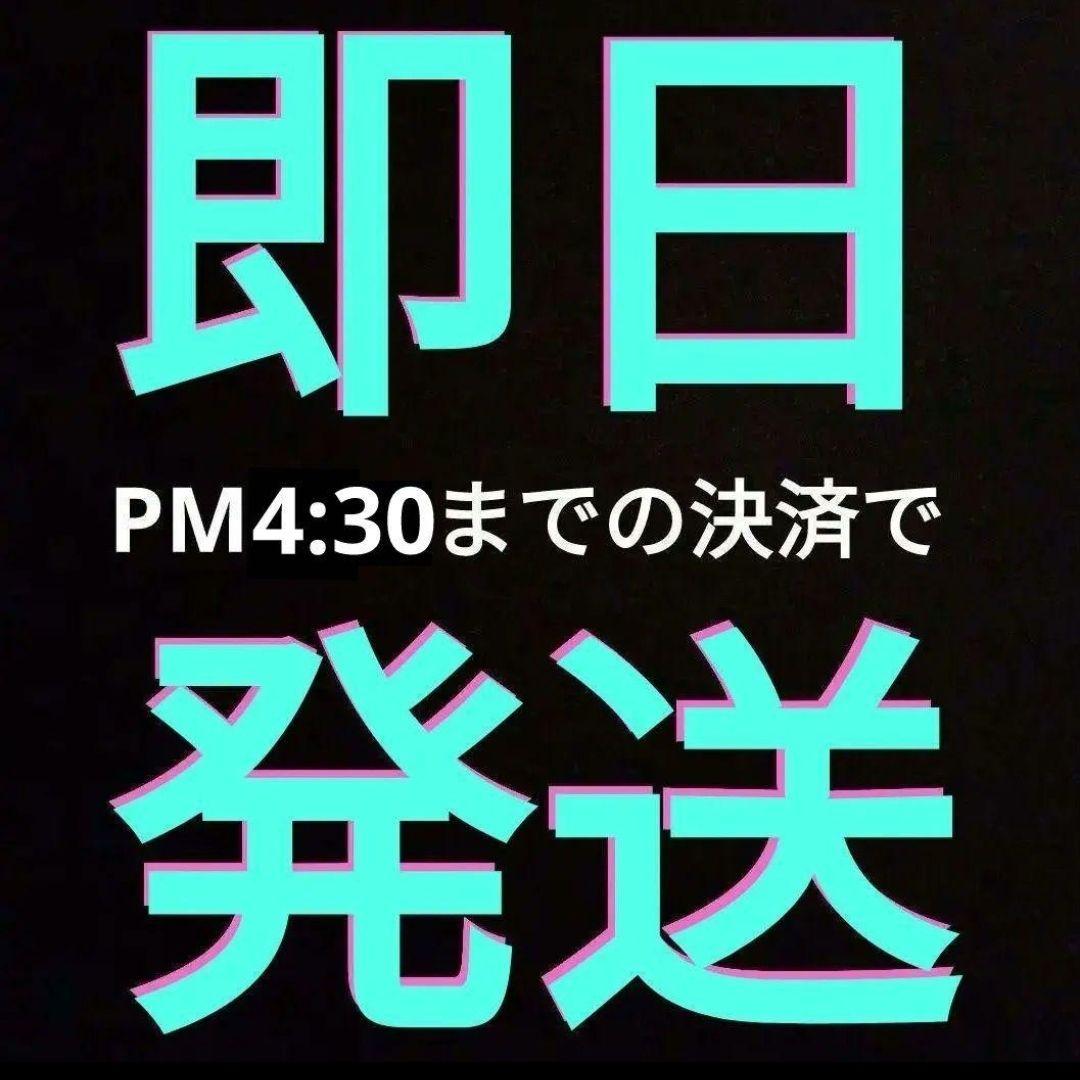 カシムラ TTS-119C 変圧器 100V/230V 3000W 大型トランス