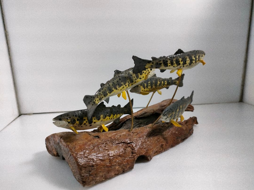 ヤマメ　ジオラマ