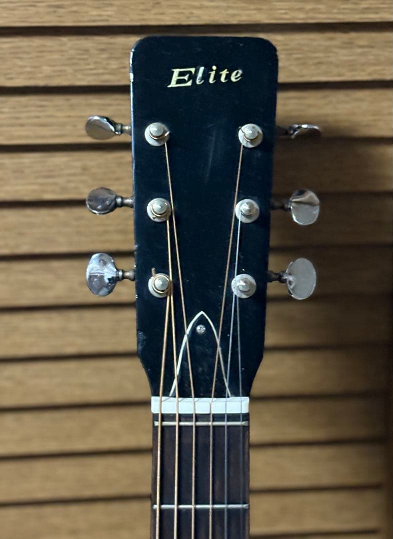 Elite エリート F100 TAKAMINE GAKKI 60年代