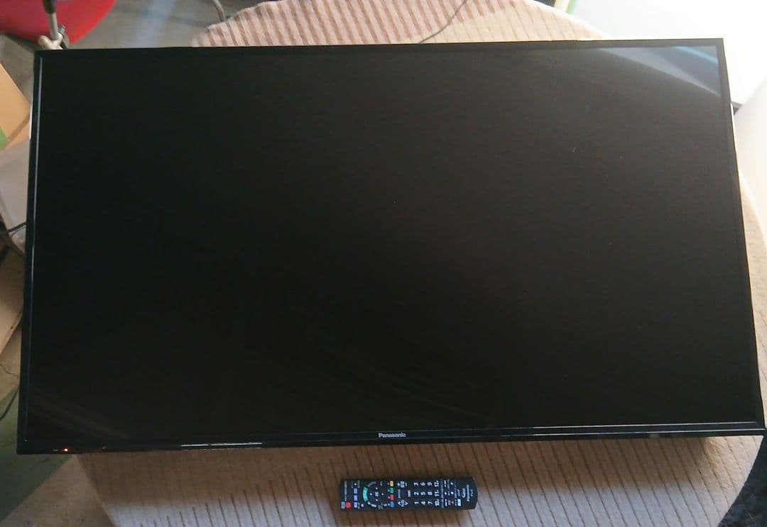 49インチ液晶テレビPanasonic TH-49E300HT【スタンド無】 ㉒