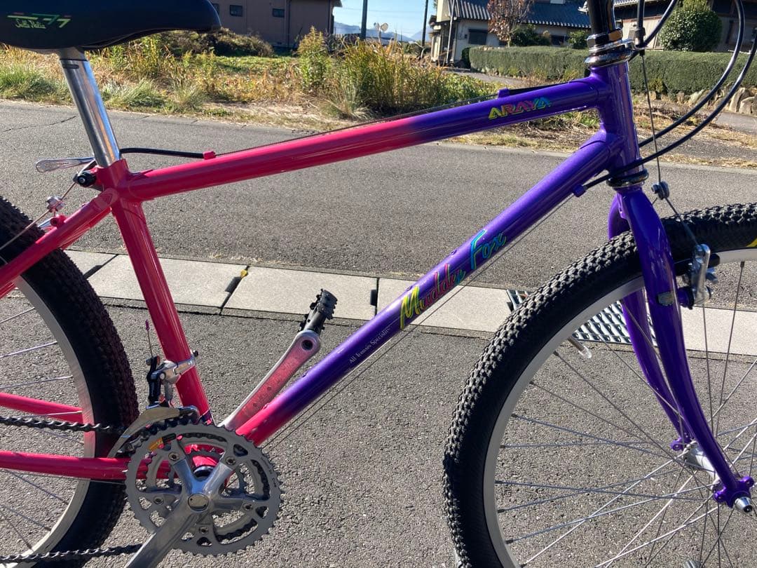 自転車本体 ARAYA Muddy Fox OLD MTB 26