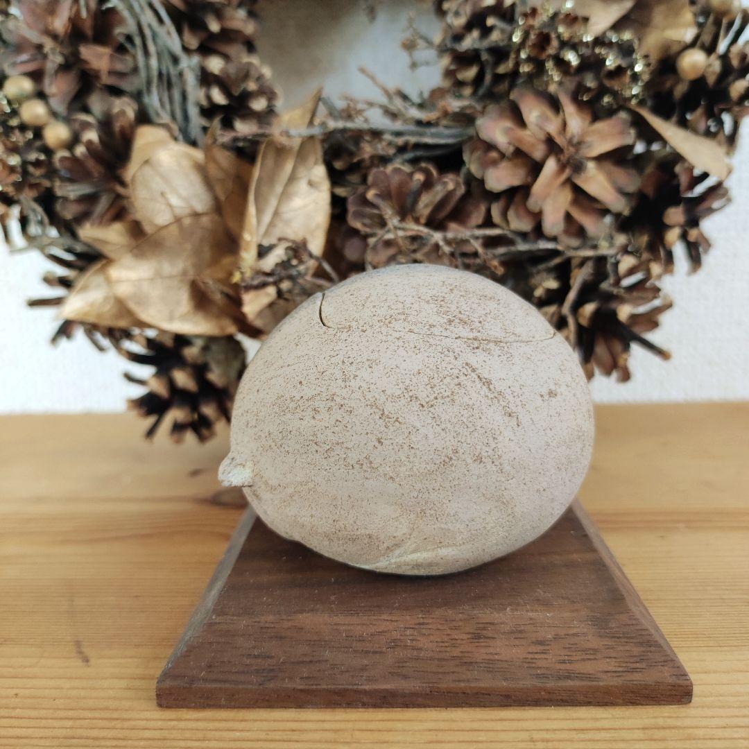 撫でてあげられるハムスターおこつぼ