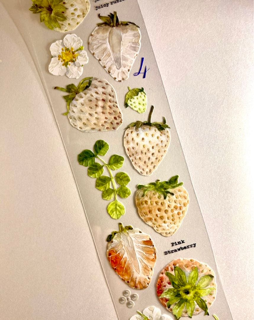 【K206】海外PETマスキングテープ　マステ切り売り イチゴ　苺