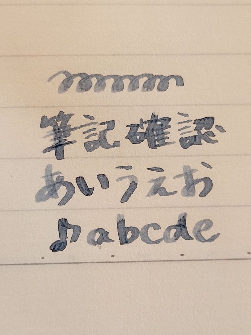 SAILOR セーラー万年筆 プロフィットスタンダード 21k MS 金ペン先