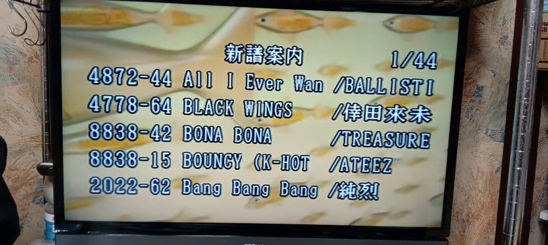 カラオケ機器家庭用JOYSOUND楽宴DⅡ