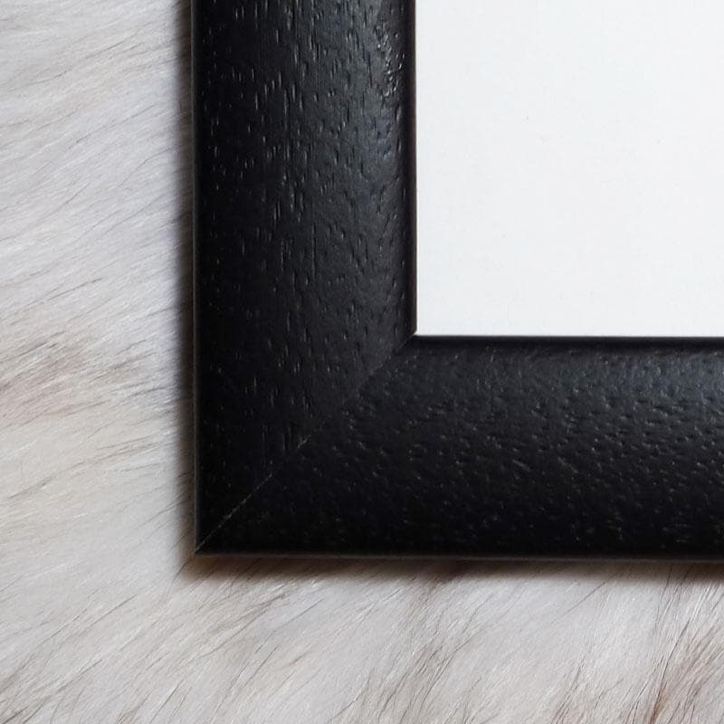 額装品/Ten Marilyns 1967（アンディ ウォーホル）