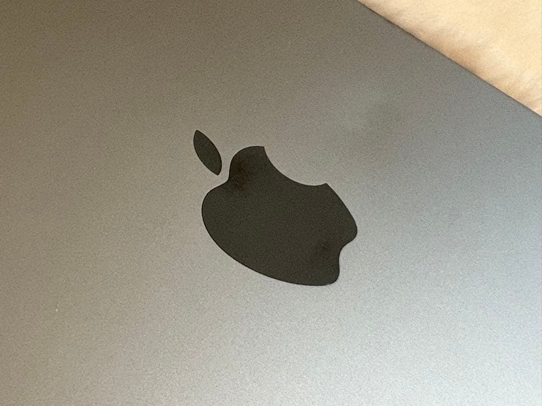 【即日発送】iPad Pro (A1709)64GB