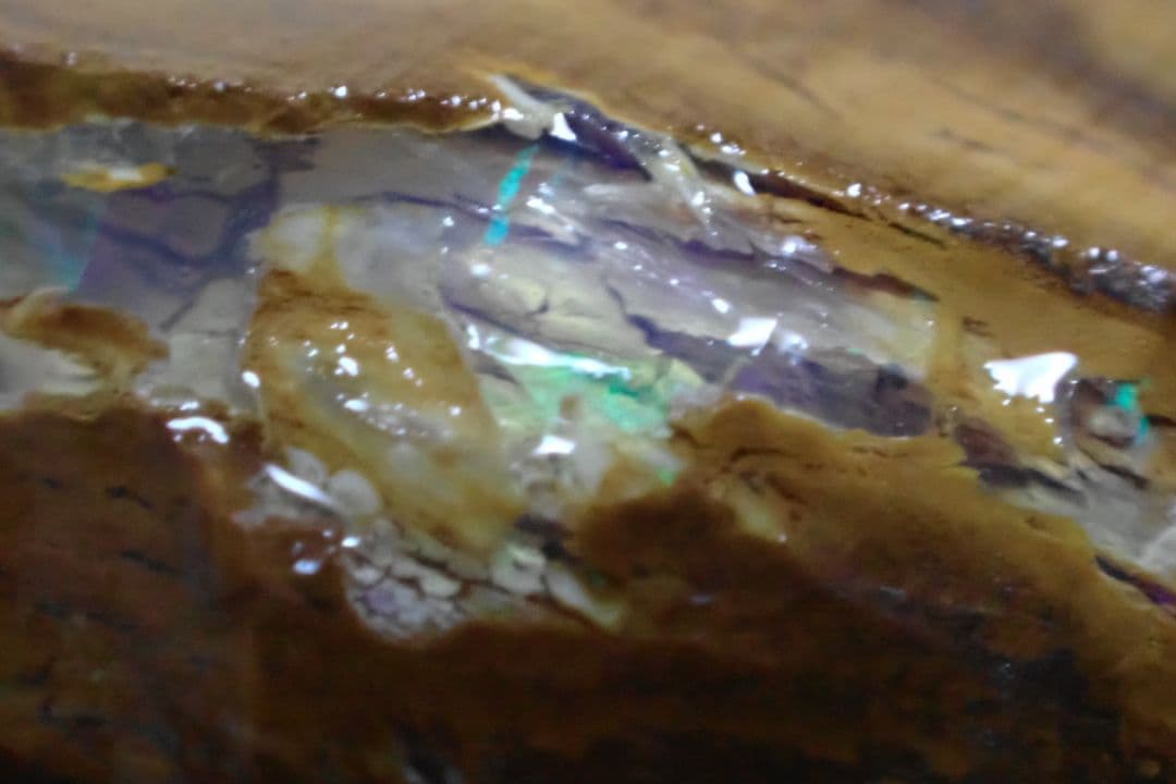 ウッドオパール　原石　オーストラリア　送料無料