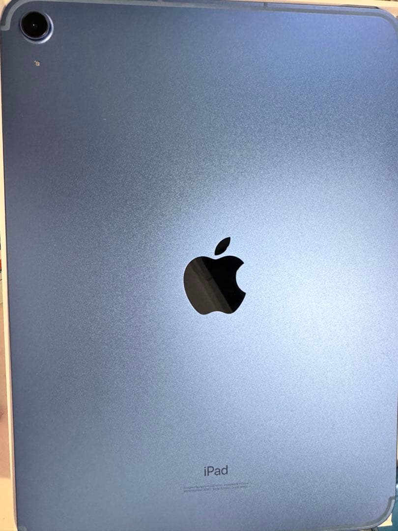 ろみおiPad (第10世代) Wi-Fi + Cellular 64GB