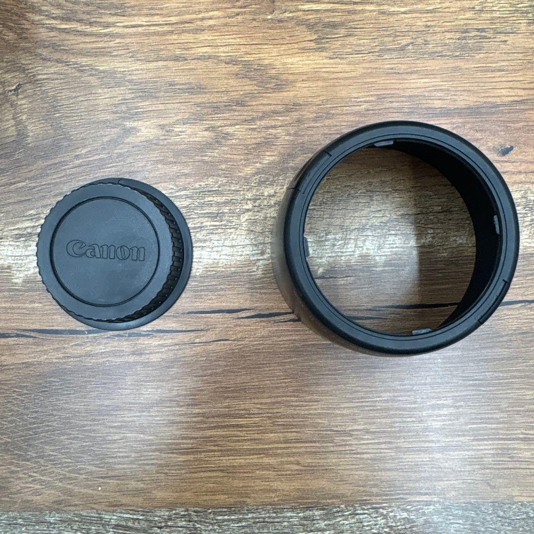 ⭐️美品⭐️キャノン Canon EF 100-300mm 4.5-5.6 USM