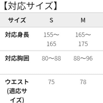 【2月8日削除予定】新品タグ付き　ワークマン　イージス　スノー　Sサイズ