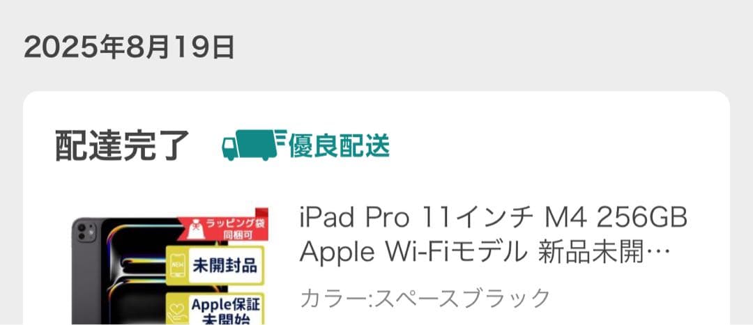 iPad Pro 11インチ M4 256GB Apple Wi-Fiモデル
