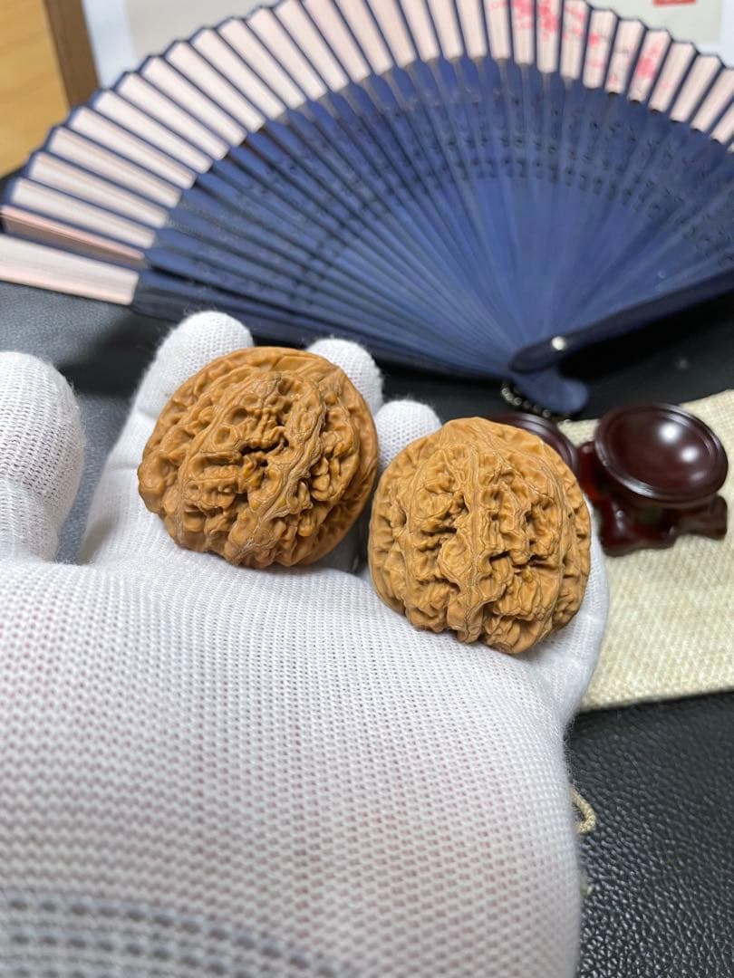 キャニオン　クルミ A028、216、247、A015