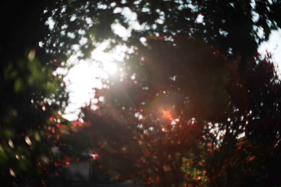 【極美品】動作◎ SMC PENTAX 50mm F1.2 126