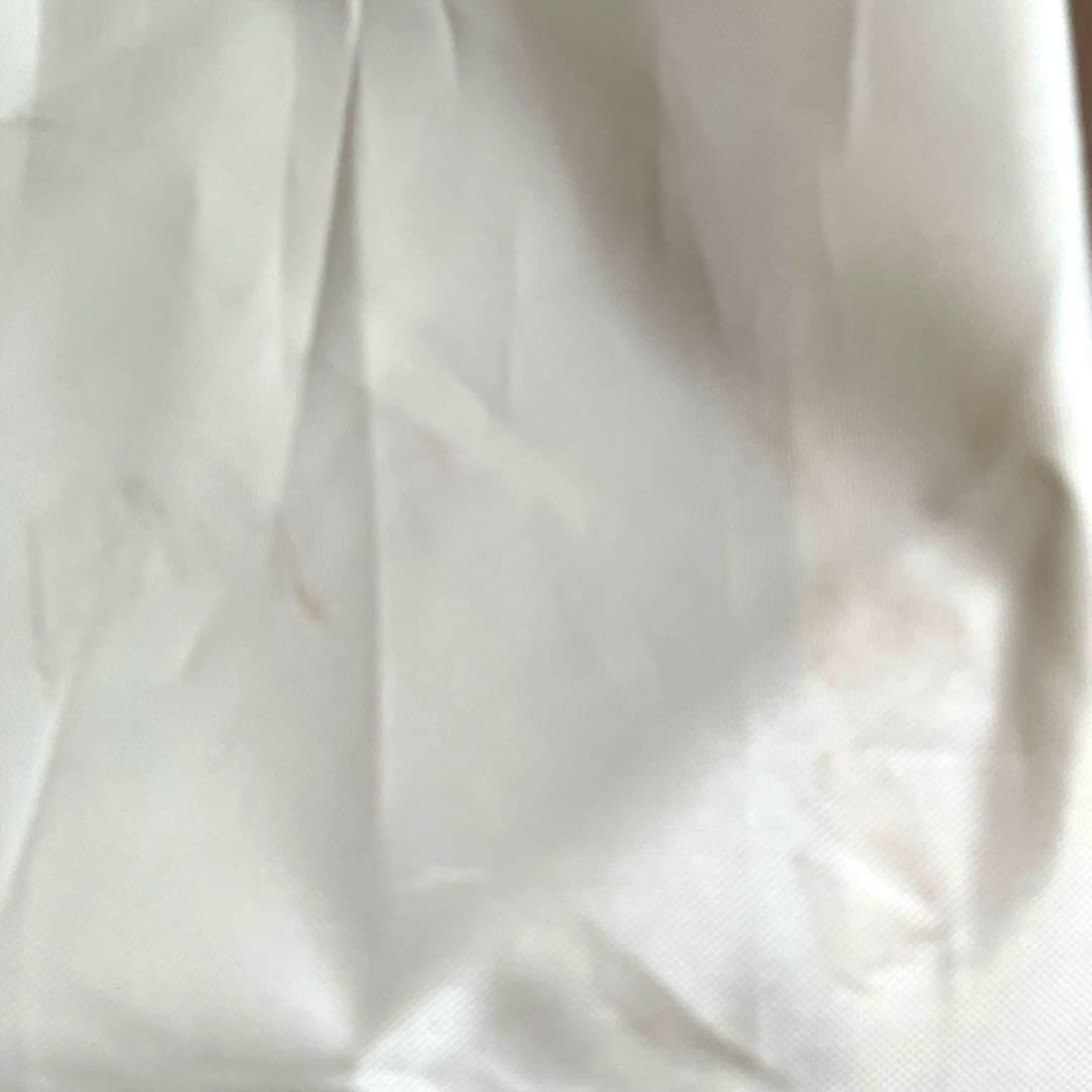 スノーピークランドロック　サイドタープ　アイボリー