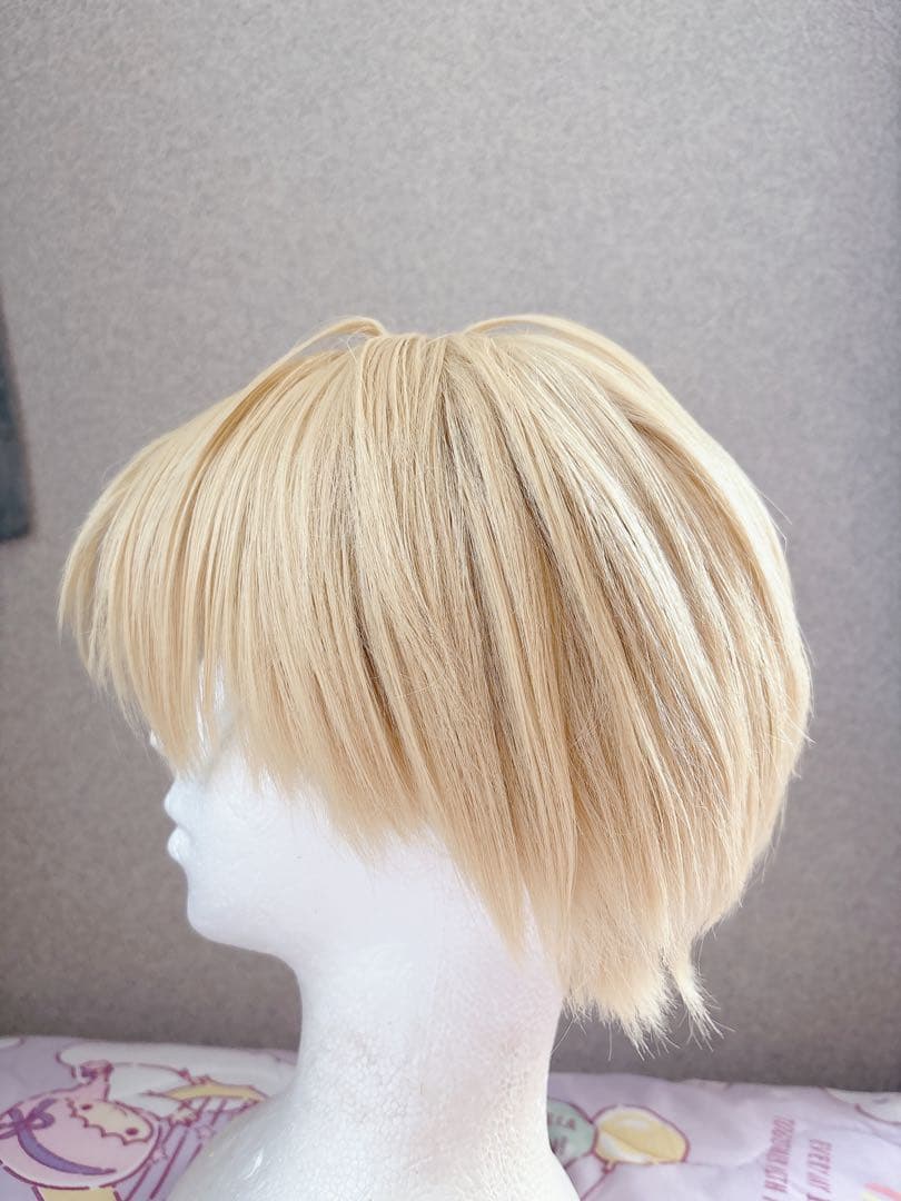 エクスアルビオ 学生 衣装 ウィッグ ローファー セット コスプレ