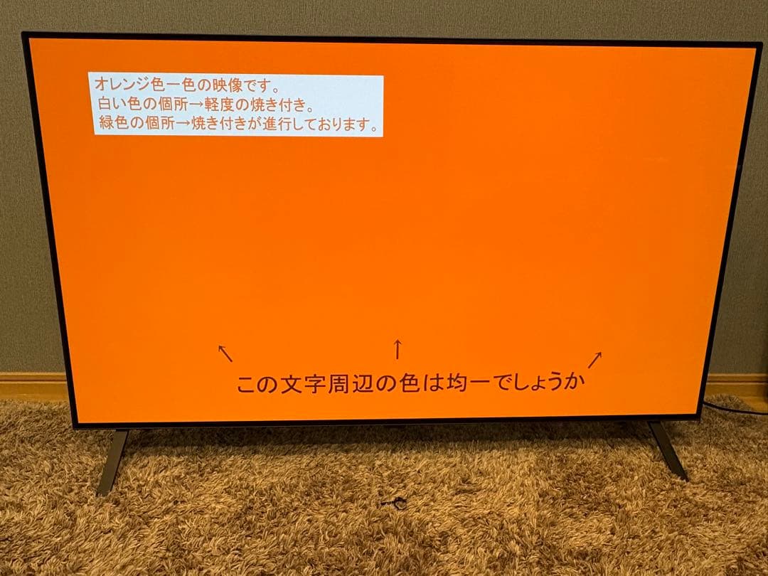 【動作確認済】LG有機EL48型 OLED48A2PJA 2022 年モデル