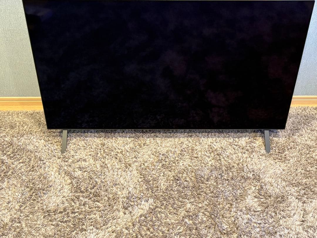 【動作確認済】LG有機EL48型 OLED48A2PJA 2022 年モデル