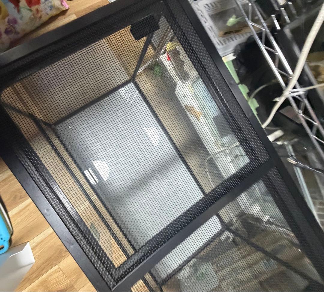 直接取引希望　《 爬虫類ケージ 9045 》　爬虫類ケージ　ソケット　タイマー