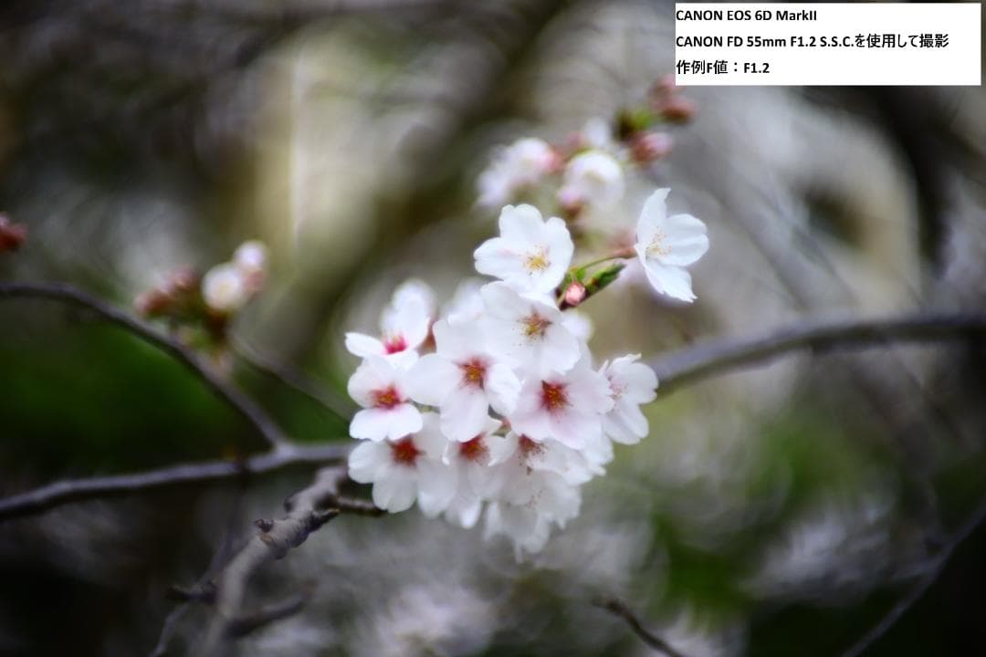 【動作OK】キヤノン CANON FD 55mm F1.2 S.S.C.