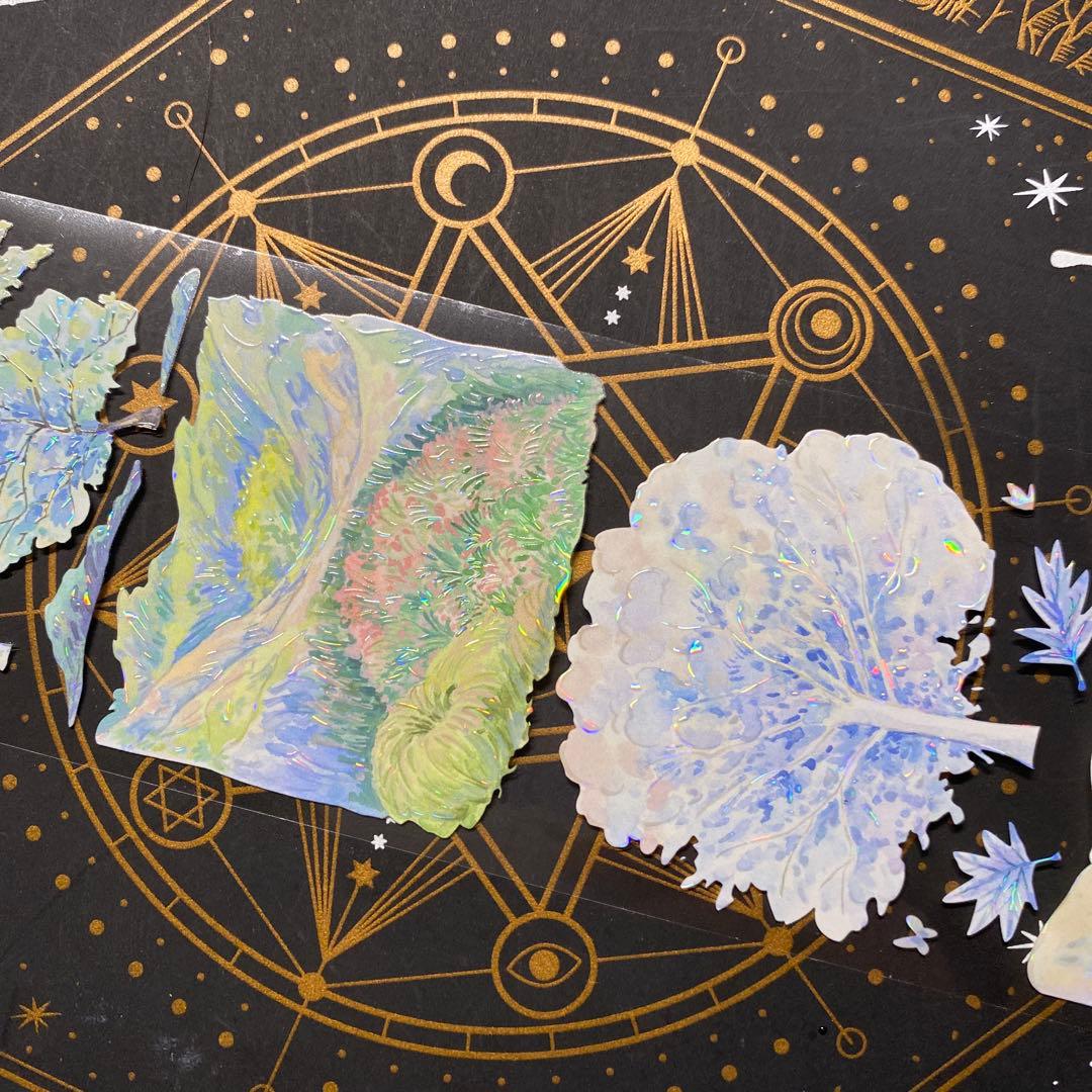 【9263】海外　マステ　中古巻　貝殻光マスキングテープ　四季　装飾系