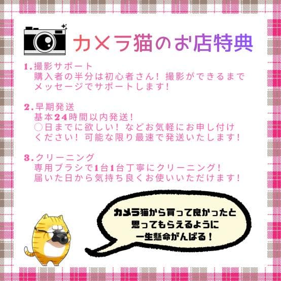 ✨お安くデビュー✨ショット数1071回✨Nikon D70 レンズセット