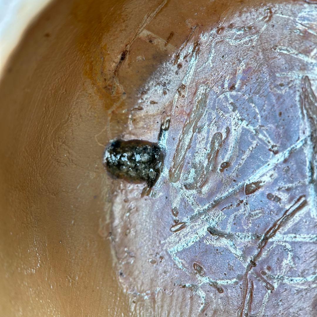 石田安弘 備前焼龍宝瓶 般若心经人気作者 急須 茶注 煎茶 茶道具