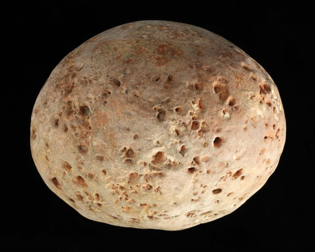 大型 多孔質 景石 火山岩系 5.8kg 台座付 自然石 鑑賞石 盆石 盆景