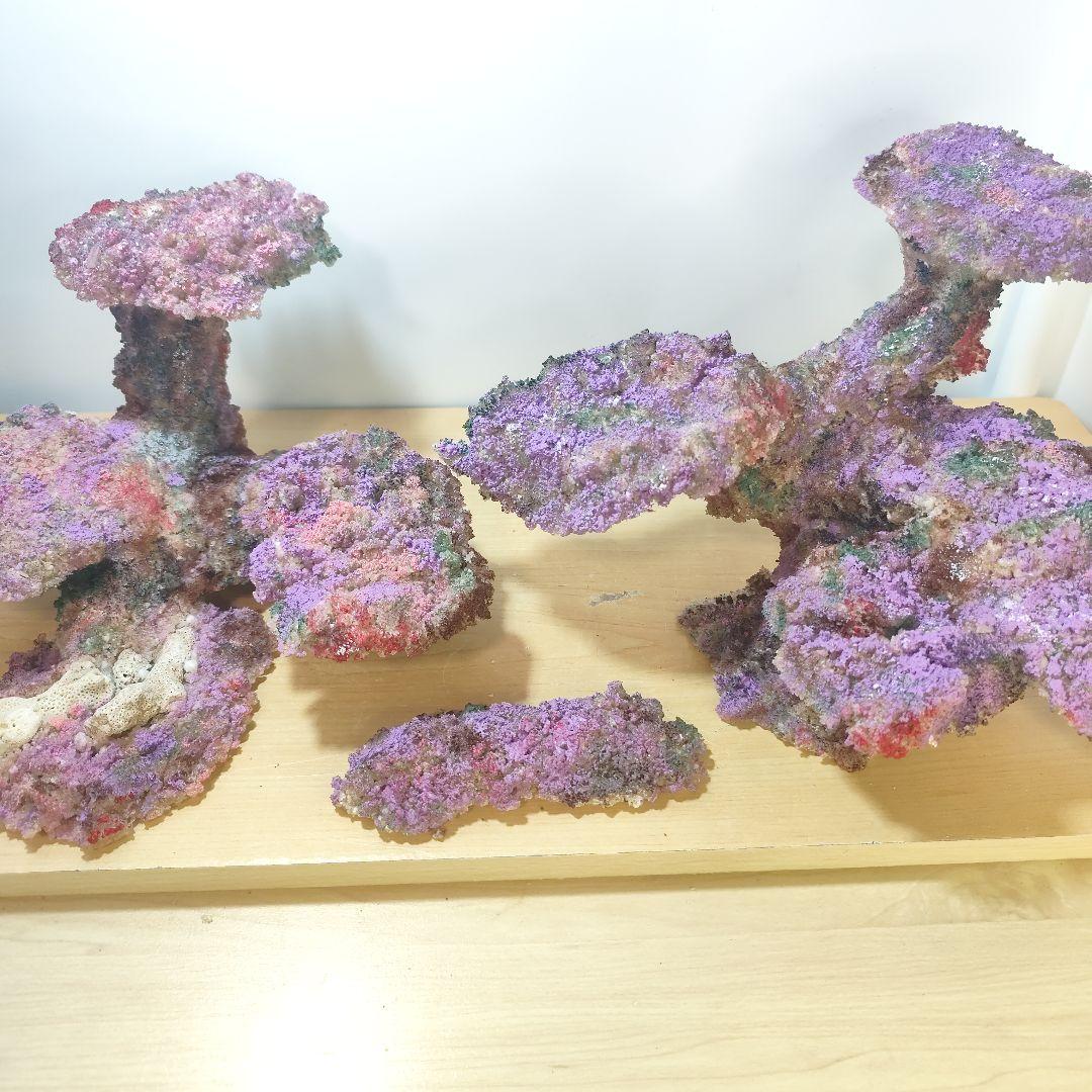 新品アク抜き不要 分離型人工ライブロック 60cm海水水槽用 レプリカ 多孔質4