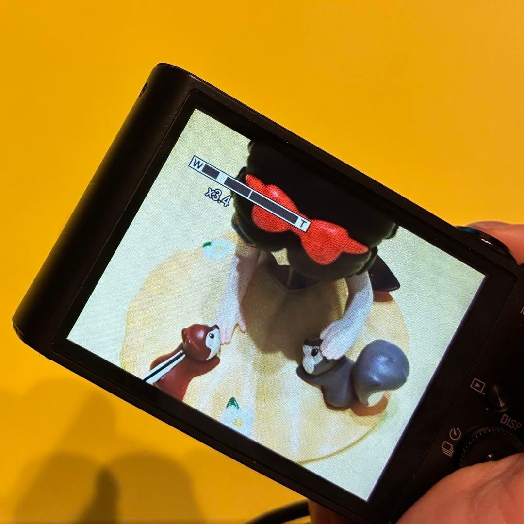 ⭐︎ハナさま専用 SONY Cyber-shot DSC-WX300