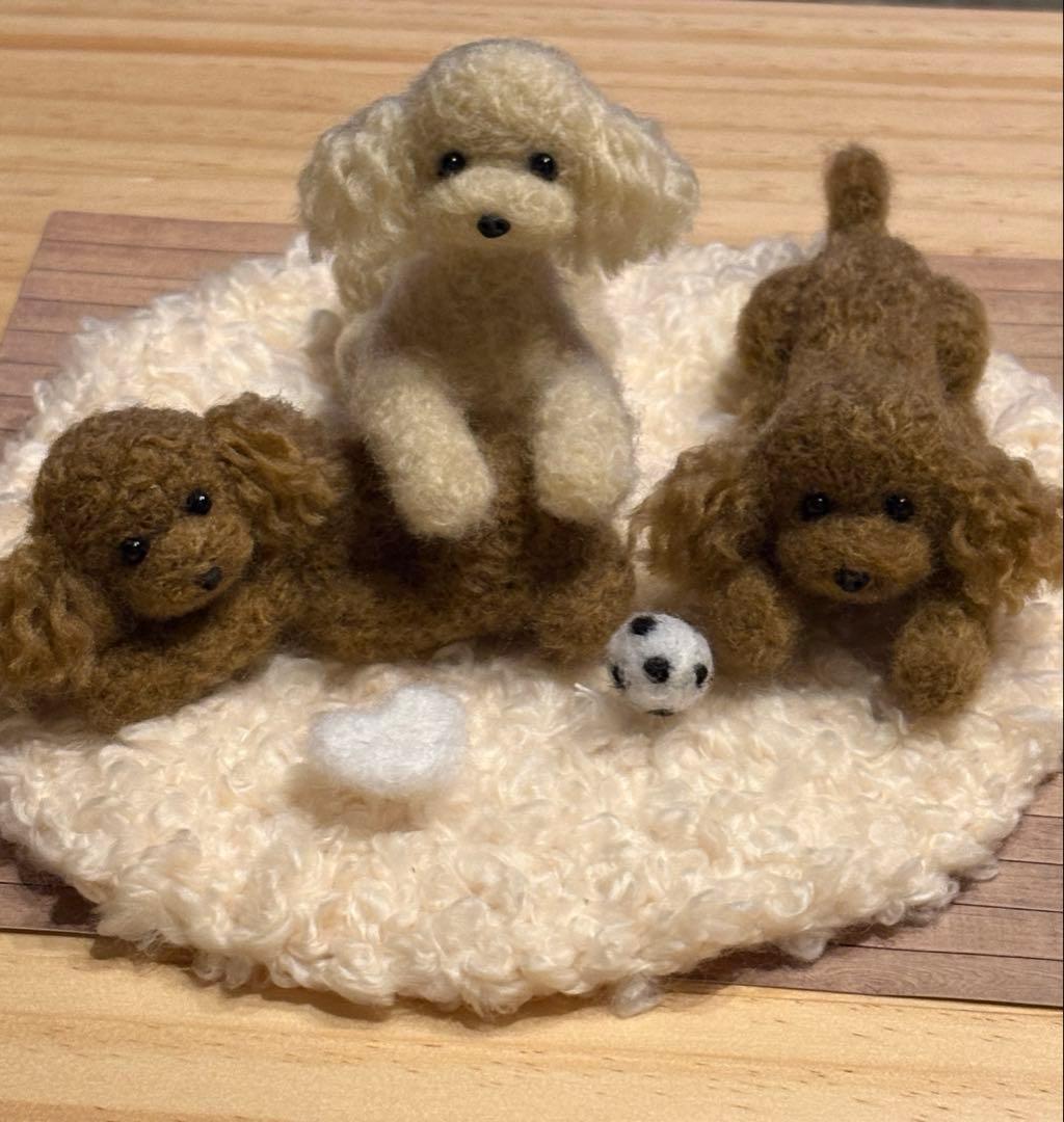 羊毛フェルト 毛糸 トイプードル（遊んだ後のリラックスタイム）❣️