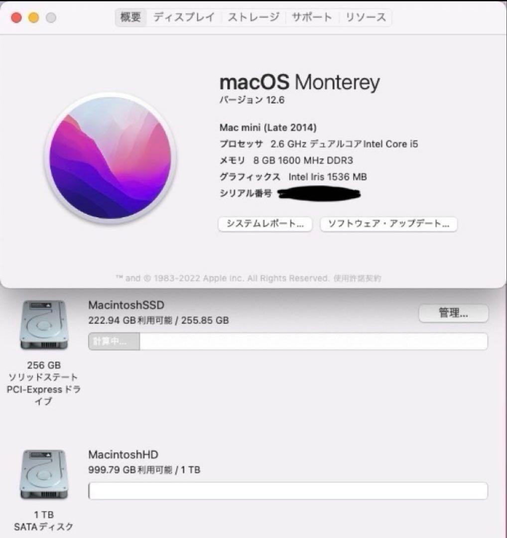 ［SALE！美品］ Mac mini 2014/Windows11