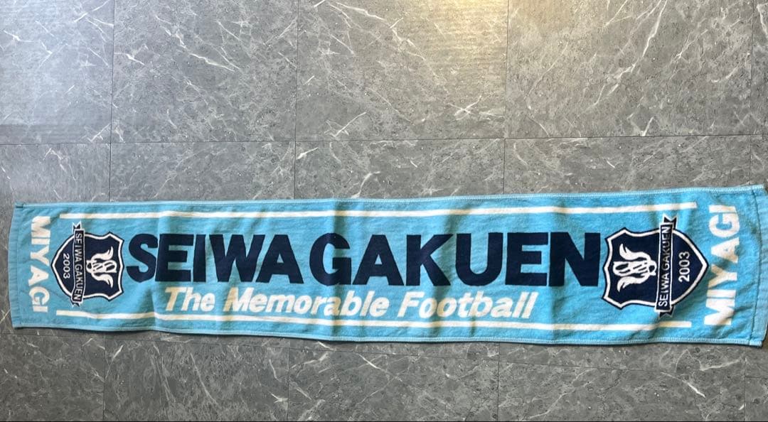 聖和学園2025インターハイ出場記念Tシャツ